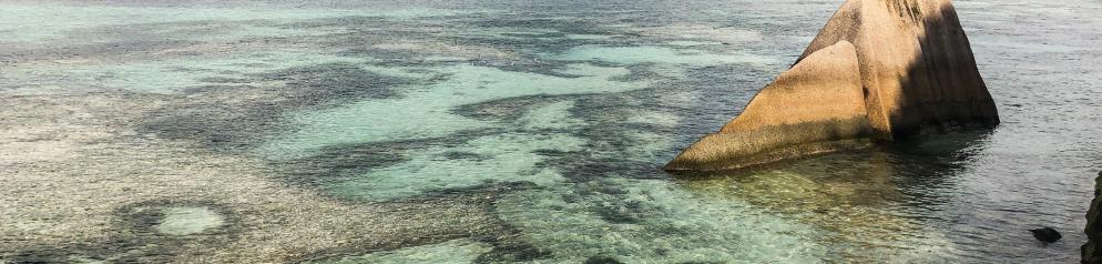 Seychellen-Korallenriff-Emotion_LVO