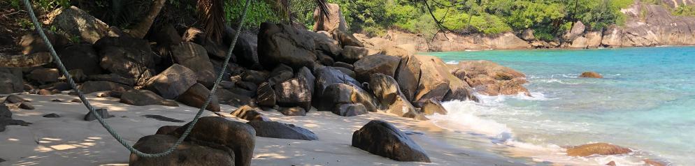 Seychellen-Mahe-Anse Major Schaukel-Emotion_LVO.JPG