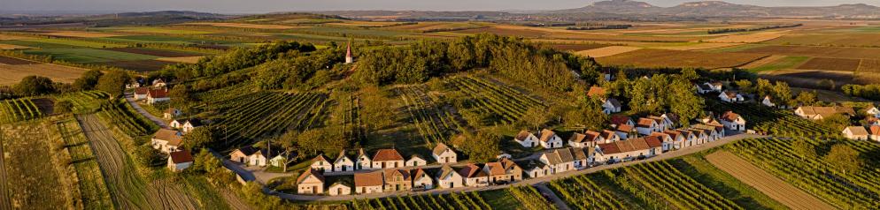 Kellergasse Galgenberg Kellergasse Galgenberg Laa An Der Thaya