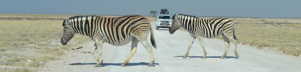 Etosha National Park Namibia