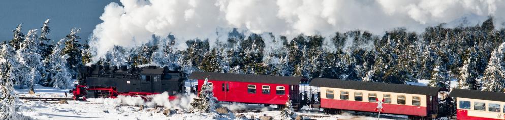 Dampfzug, Schnee, Wald Harz