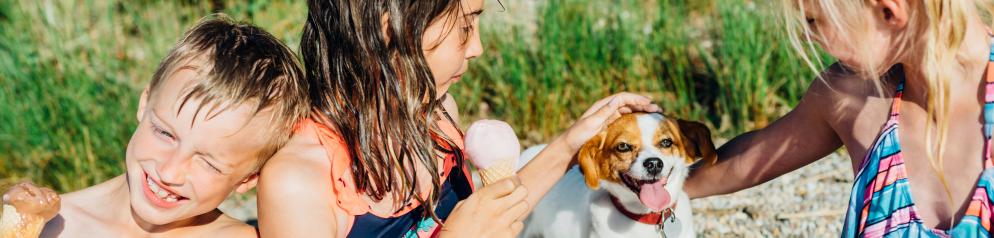 Hund mit Kindern Hund und Kinder essen Eis