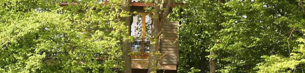 Baumhaus auf dem Kellerberg_Emotion_booking