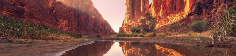 Saudi-Arabien Oase Saudi-Arabien Oase