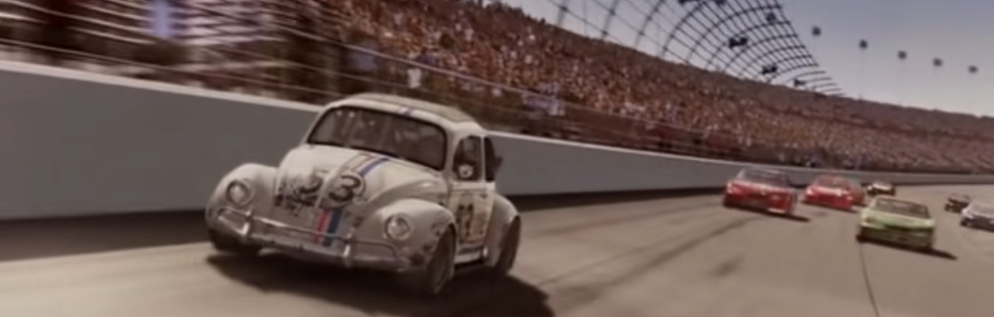 Käfer auf Rennstrecke