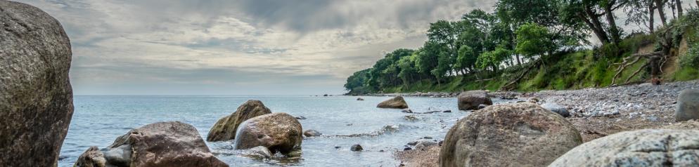 Meer, Steine, Kiesstrand, Wald