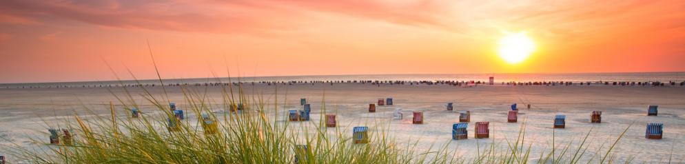 Gras, Strand, Sonnenuntergang
