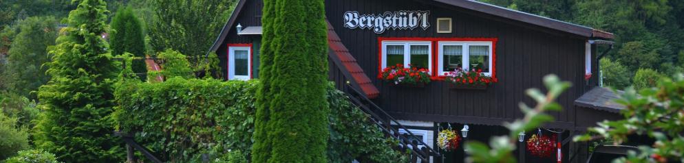 Ferienhaus Bergfeld