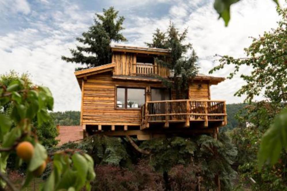 Baumhaus im Garten Baumhaus im Garten