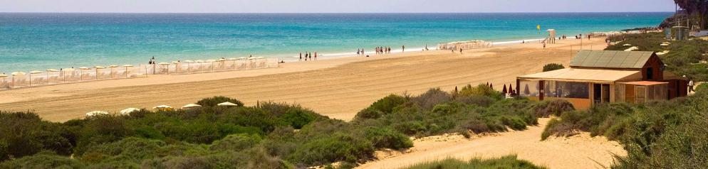 Strand mit Dünen Strand mit Dünen