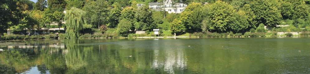 Eifel & Westerwald Eifel