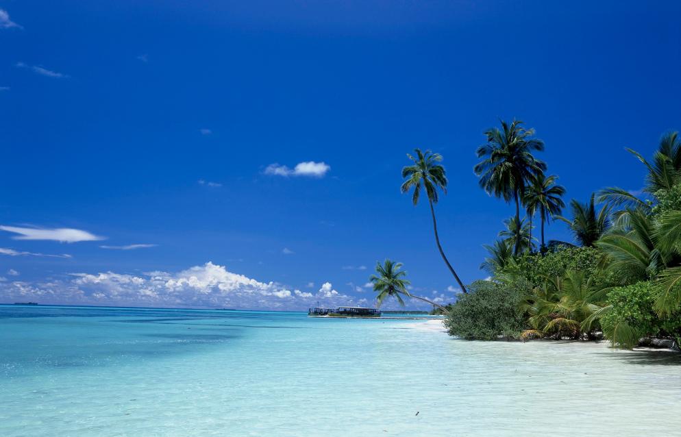 Malediven: Strand IV