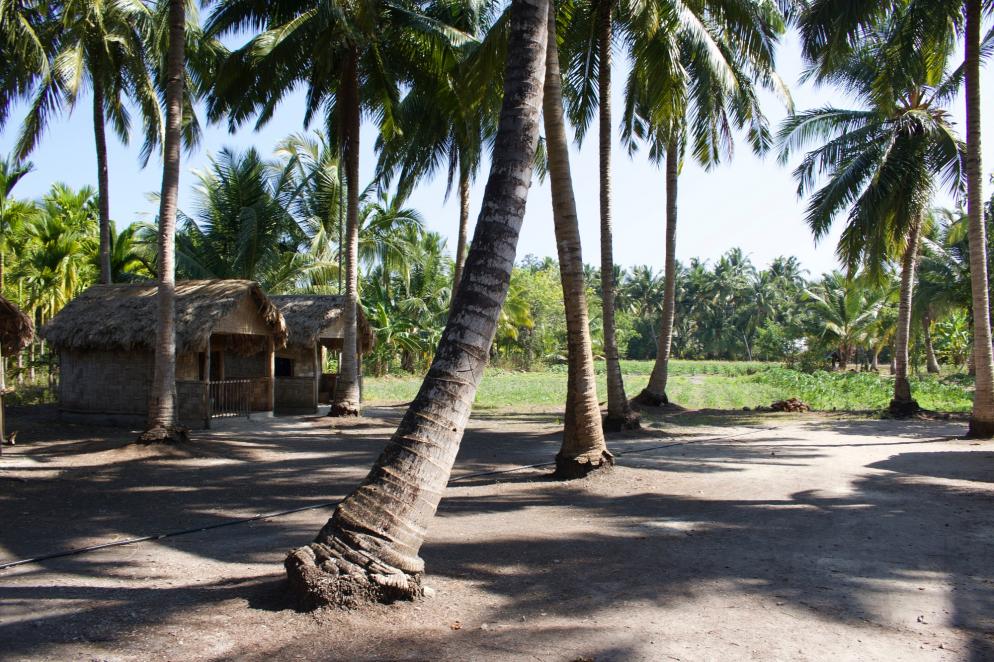Indien: Andamannen - Neil Island Hütte