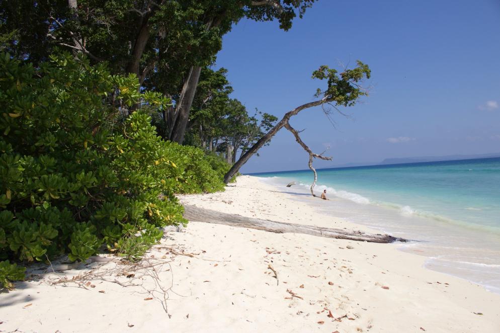 Indien: Andamanen - Neil Island Strand