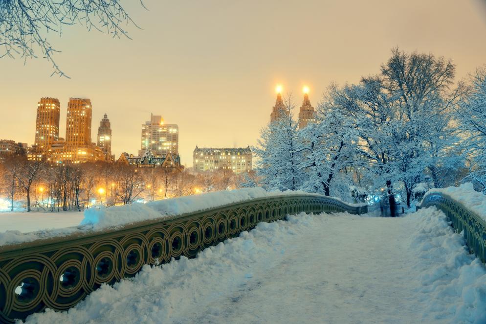 USA: New York - Winter