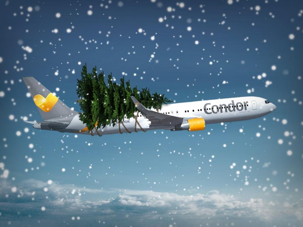 Sonstiges: Weihnachtsbaum - Flugzeug