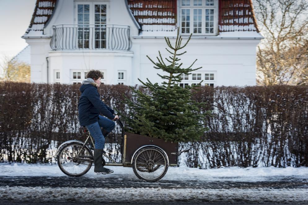 Sonstiges: Weihnachtsbaum - Fahrrad
