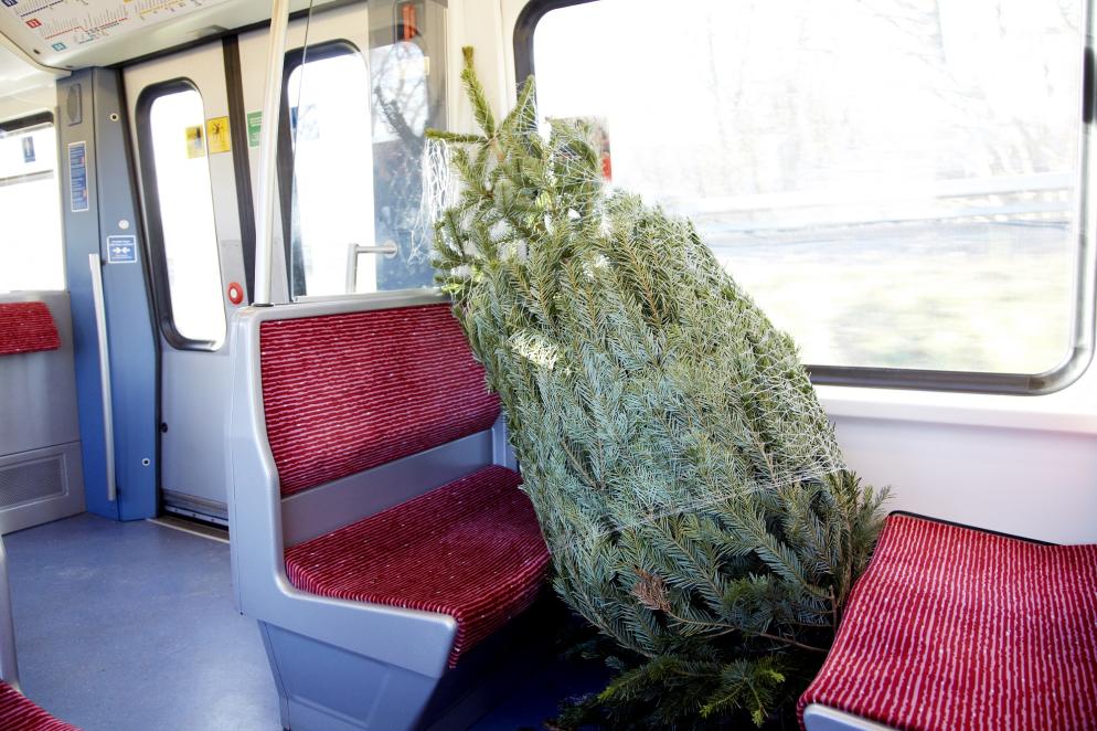 Sonstiges: Weihnachtsbaum - Zug