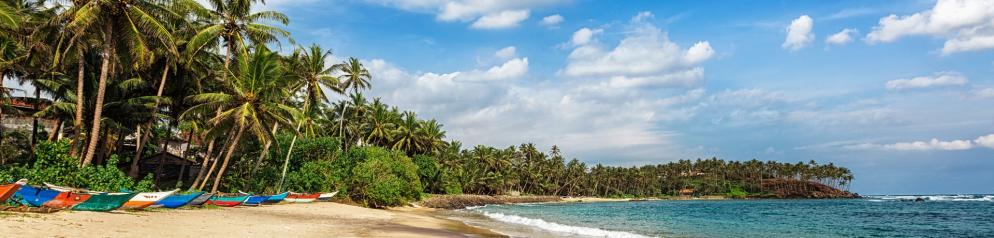 Sri Lanka: Strand II - Emotion