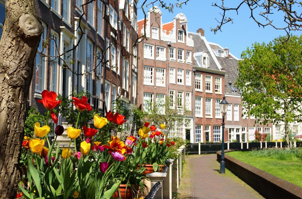 Niederlande: Amsterdam - Tulpen