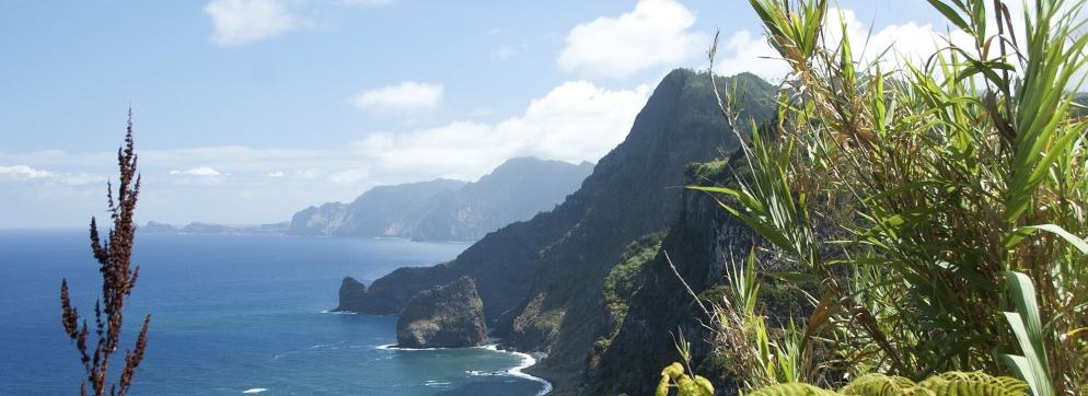 Themenwelten_Wellnessurlaub_Madeira