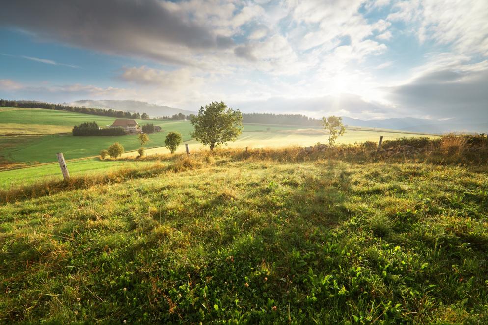 Deutschland: Schwarzwald II