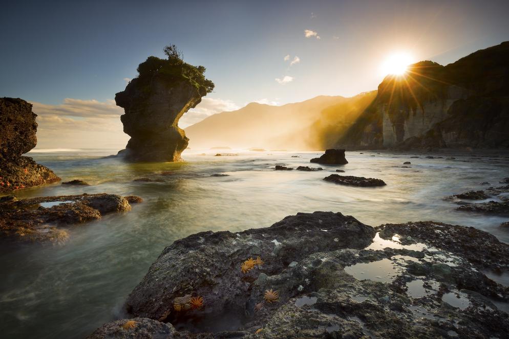 Neuseeland: Greymouth - Strand