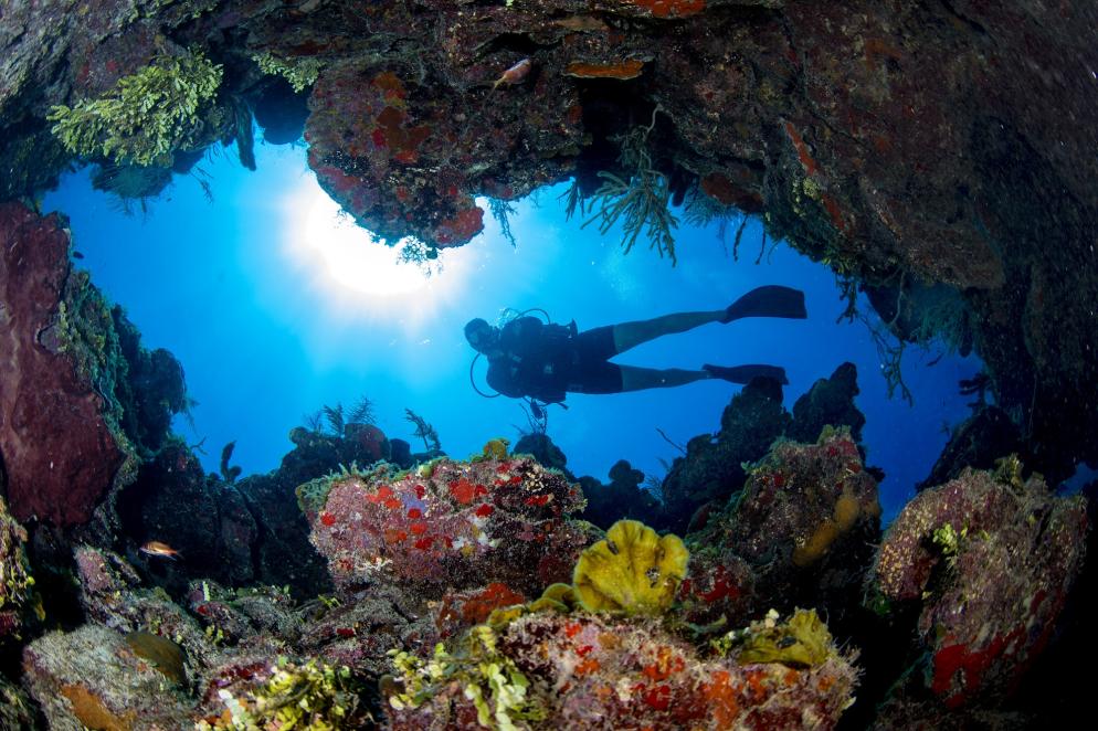 Kuba: Isla de la Juventud - Tauchen