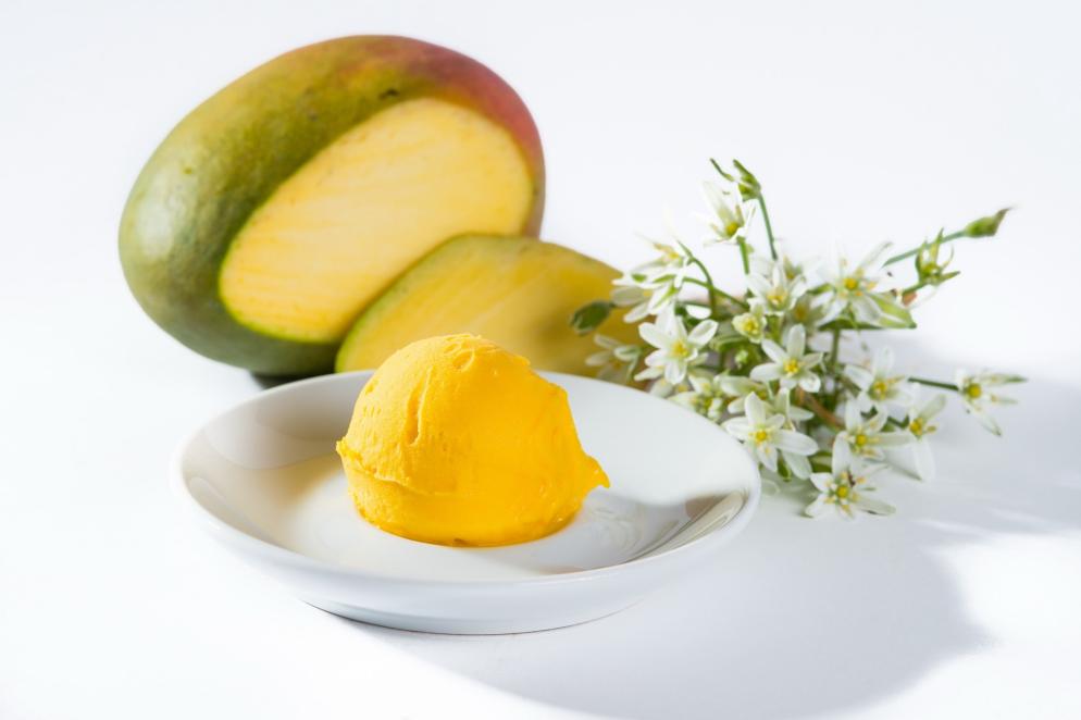 Eisladen Quedlinburg: Blumenbunt