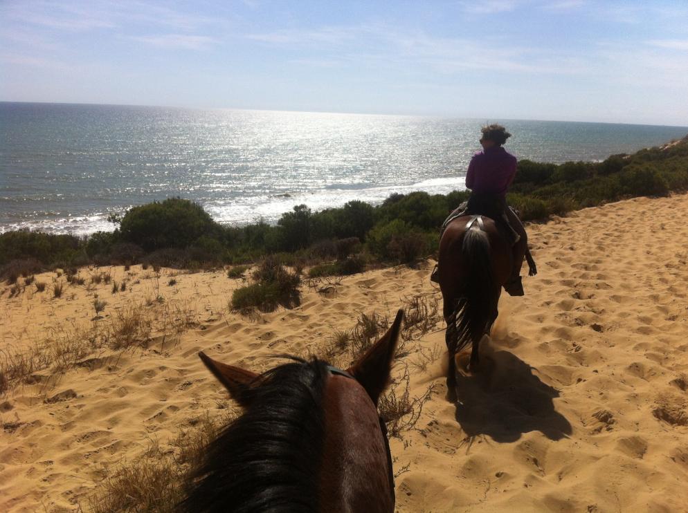 Spanien: Sevilla - Nationalpark