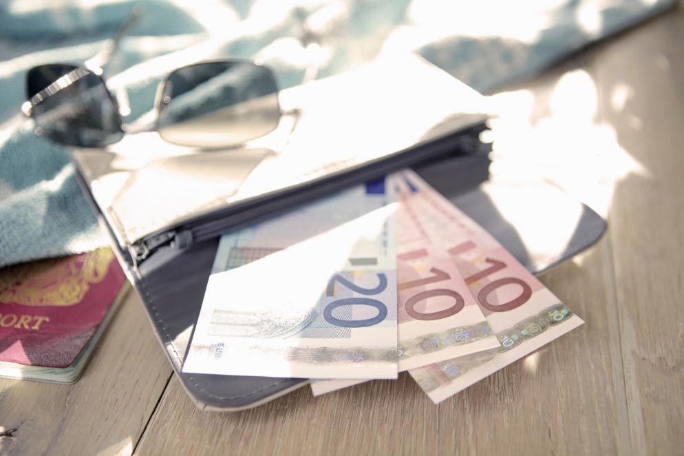 Sonstiges: Geldbörse - Euro