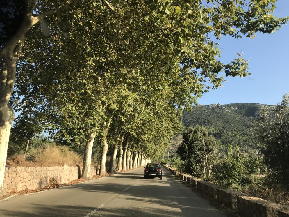 Spanien: Mallorca - Straße