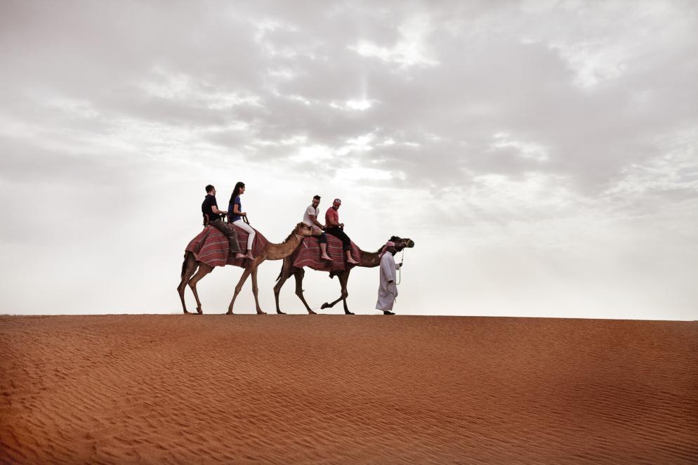 VAE: Dubai Wüste Kamel