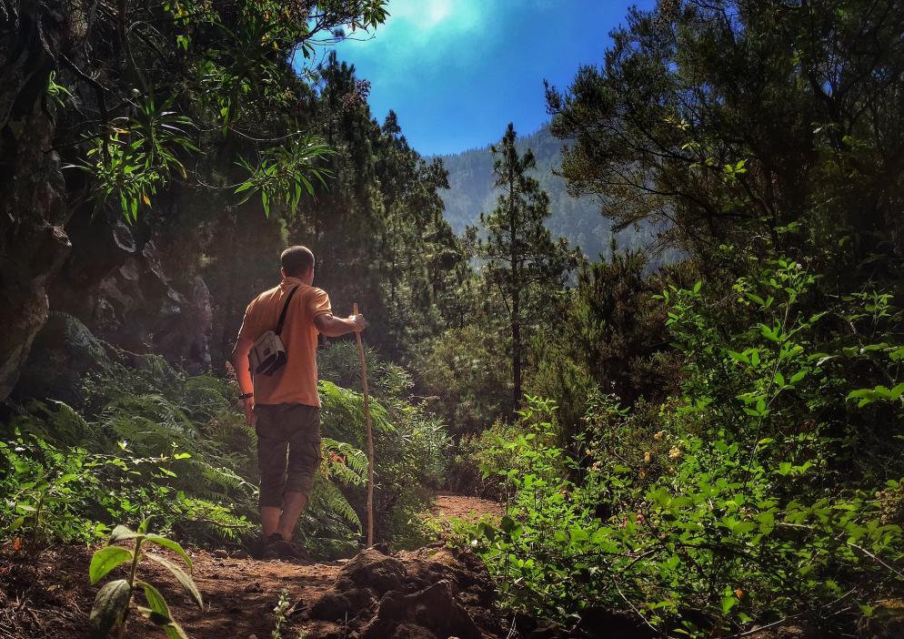 Spanien: Kanaren - Wanderung