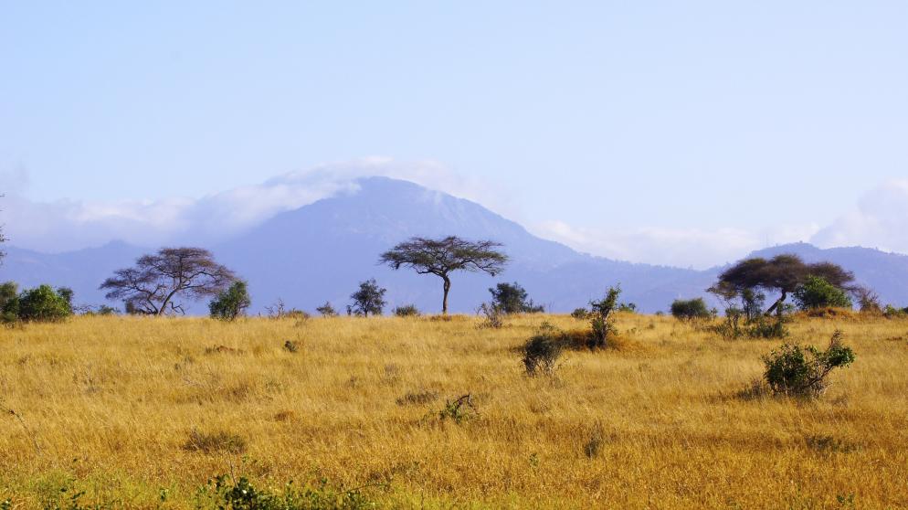 Graslandschaft in Kenia Graslandschaft in Kenia