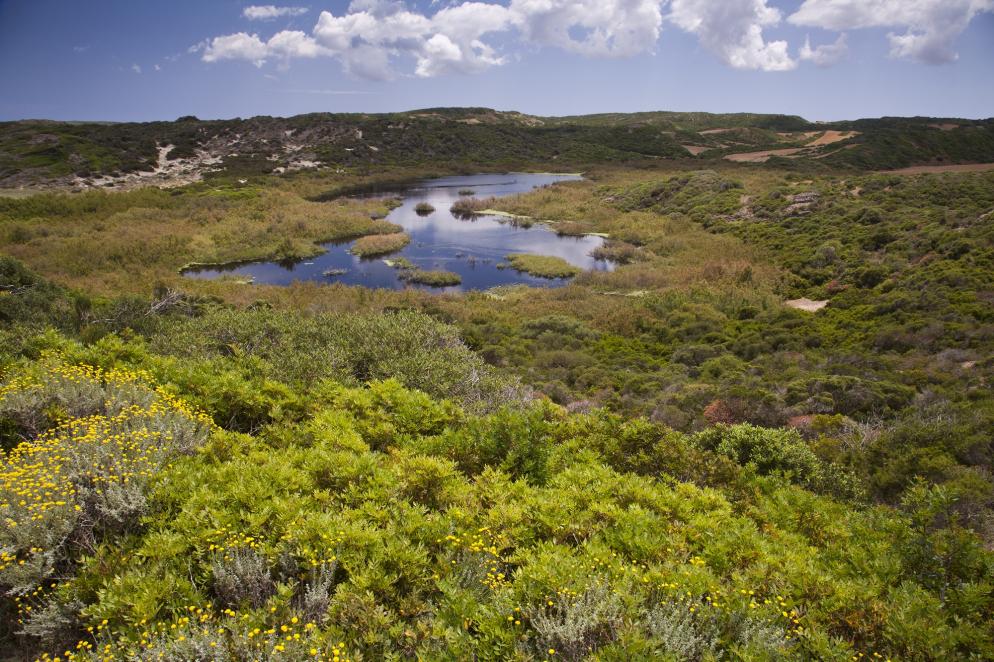 Spanien Menorca Nationalpark s'Albufera des Grau
