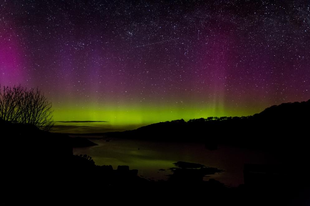 Lila und grüne Nordlichter über einem See