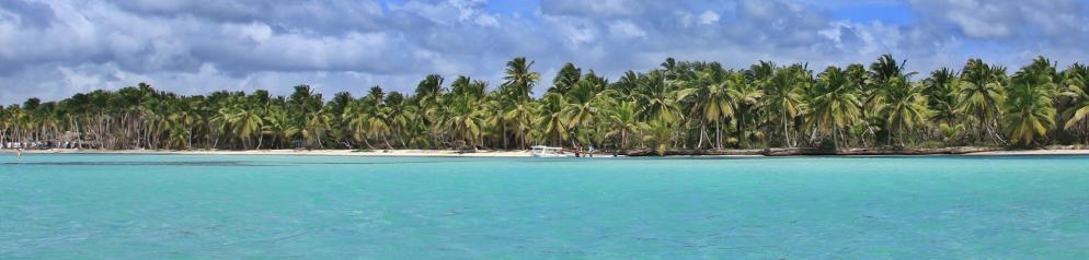 Dominikanische Republik Strand Palme Emotion