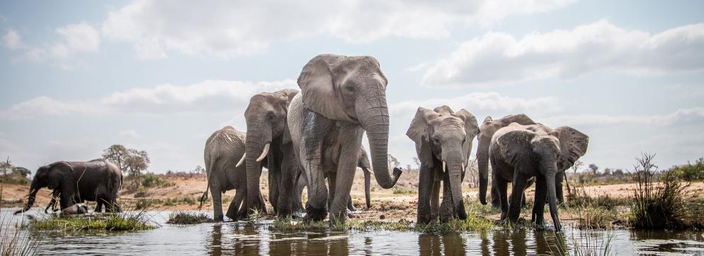 Rundreise Südafrika: East London