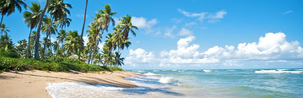 Urlaubsfinder: schmal-brasilien-strand