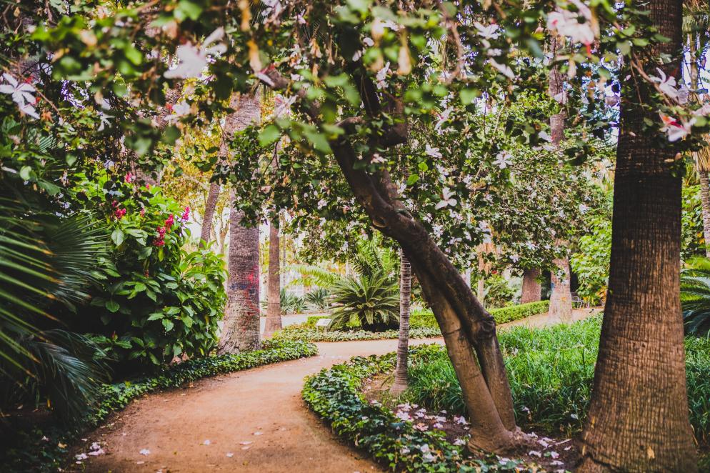 Gründe Málaga: Park - Blumen - Bäume
