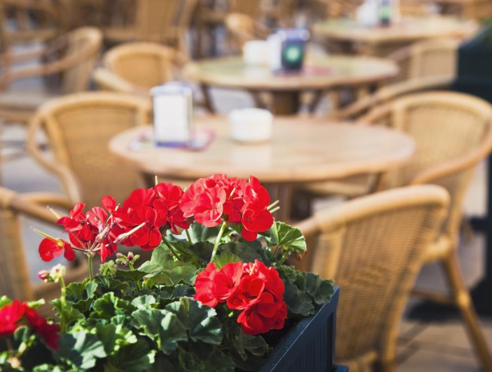 Spanien: Malaga Bodeda El Pimpi