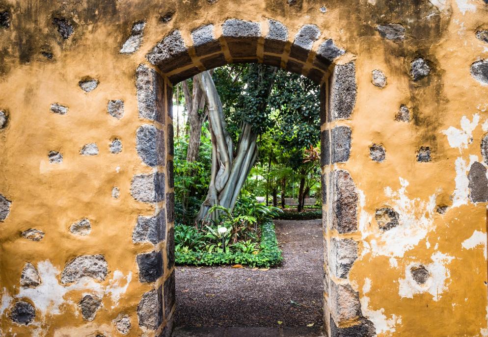 Teneriffa: Ausflugsziel - Puerto de la Cruz - Jardin Botanico