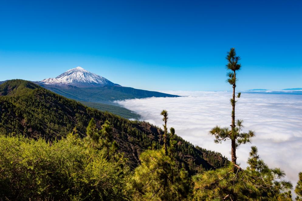 Teneriffa: Ausflugsziel - Pico del Teide