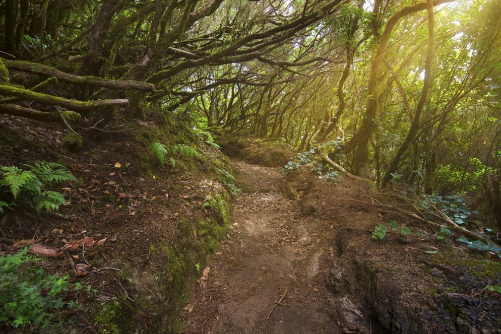 Teneriffa: Ausflugsziel - Anaga Gebirge