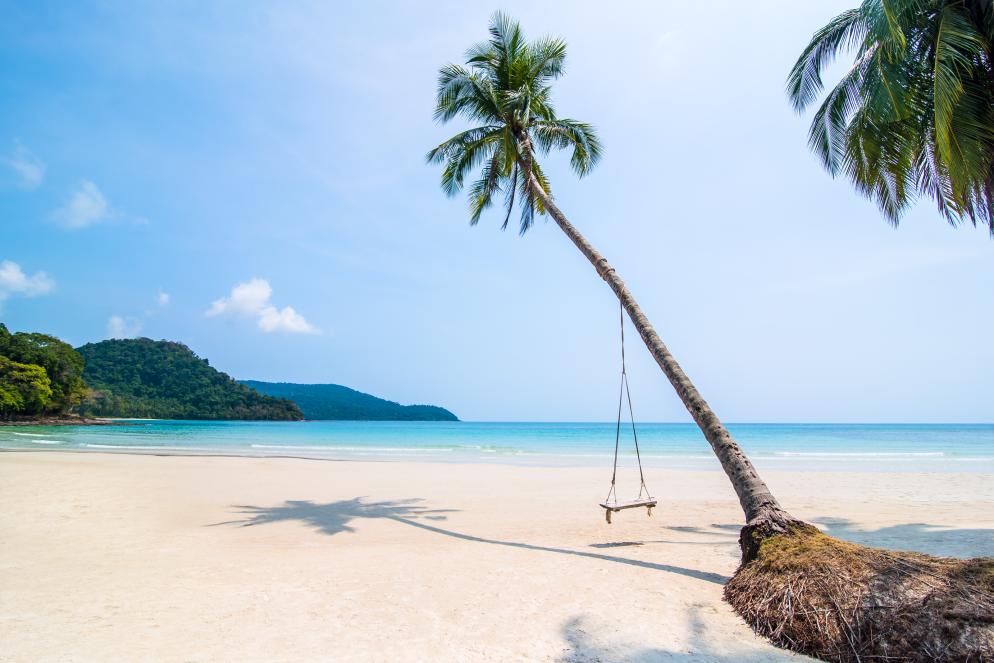 Insel Koh Kood Strand, Palme Insel Koh Kood