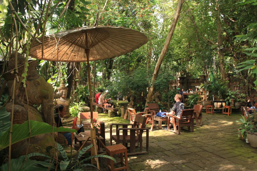 Chiang Mai Cafe, Wald Chiang Mai
