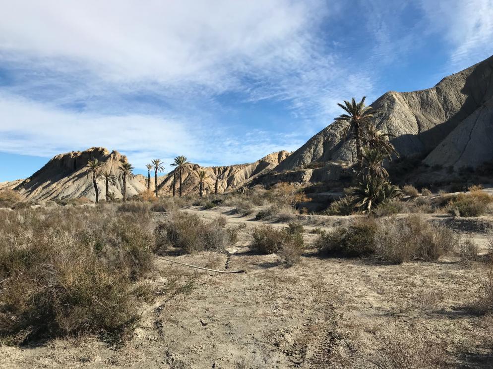 Wüste von Tabernas, Andalusien Andalusien