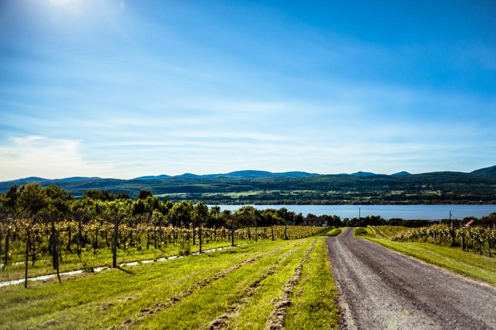 Wein, See, Berg Quebec