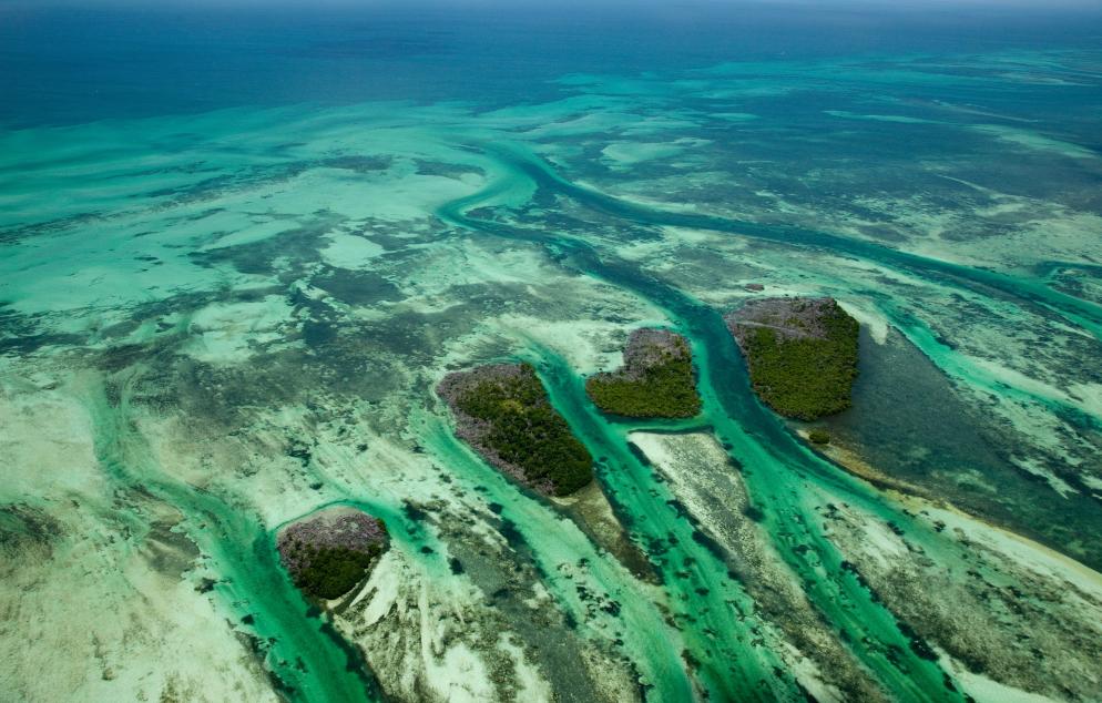 Key West Meer, Küste Key West